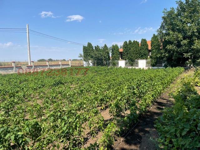 Продава КЪЩА, с. Крапец, област Добрич, снимка 3 - Къщи - 52770055