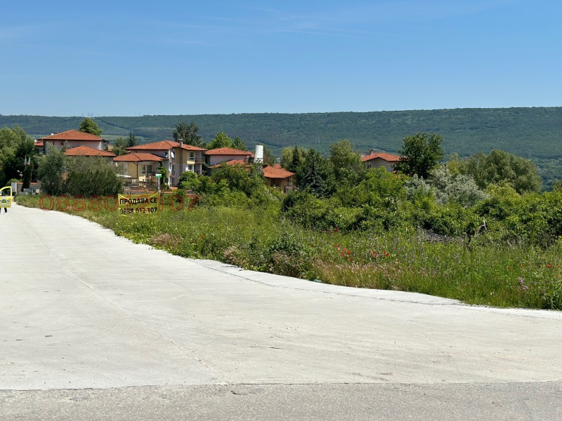 Продава  Парцел област Добрич , с. Рогачево , 6832 кв.м | 77063836 - изображение [4]