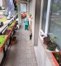 Продава 4-СТАЕН, град Русе, Родина 1 • 120000 € • 57807692 — Holmes.bg