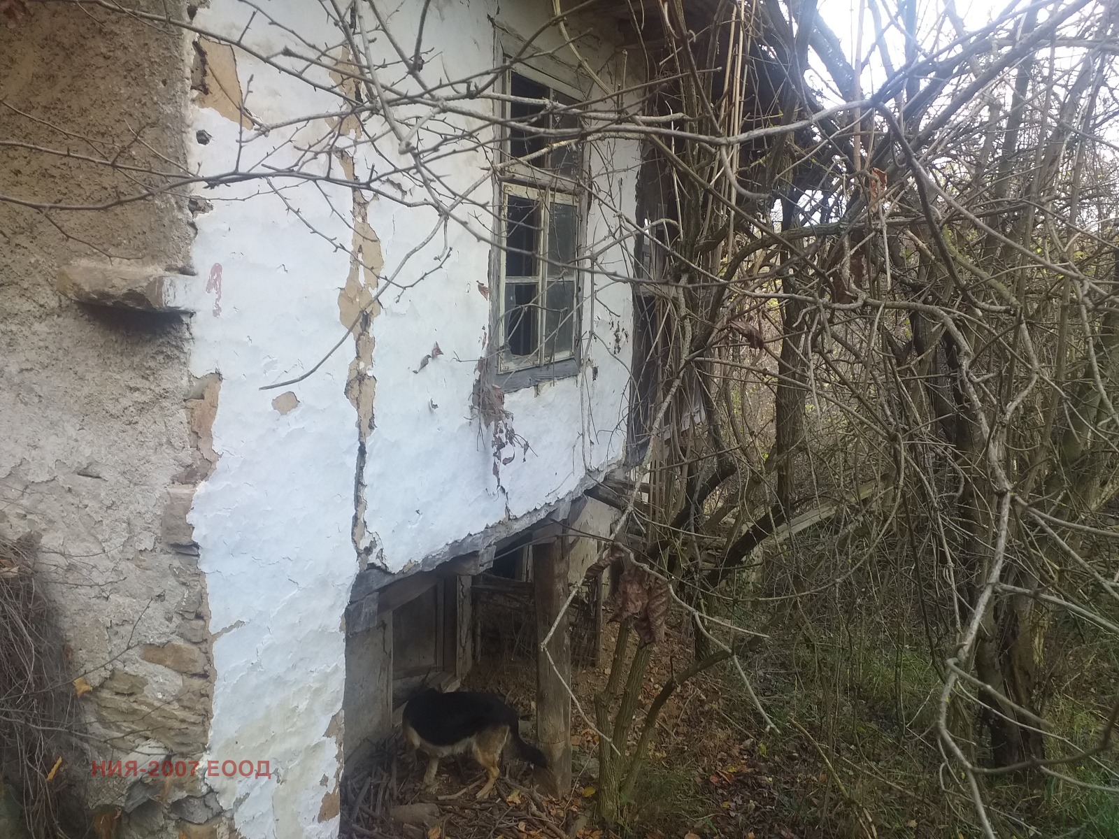 ������� ���� | Imot.bg � ����������� 1