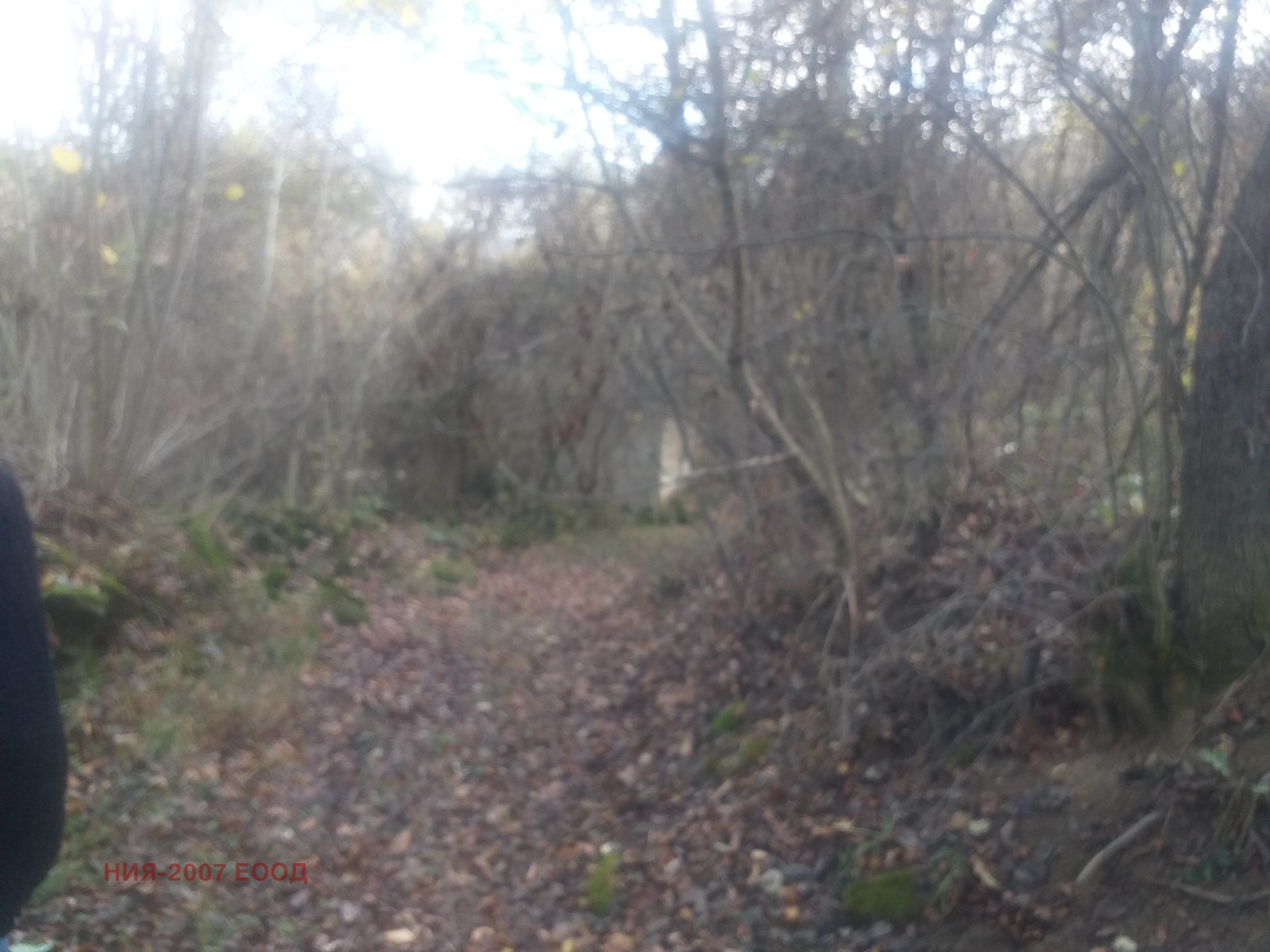 ������� ���� | Imot.bg � ����������� 3