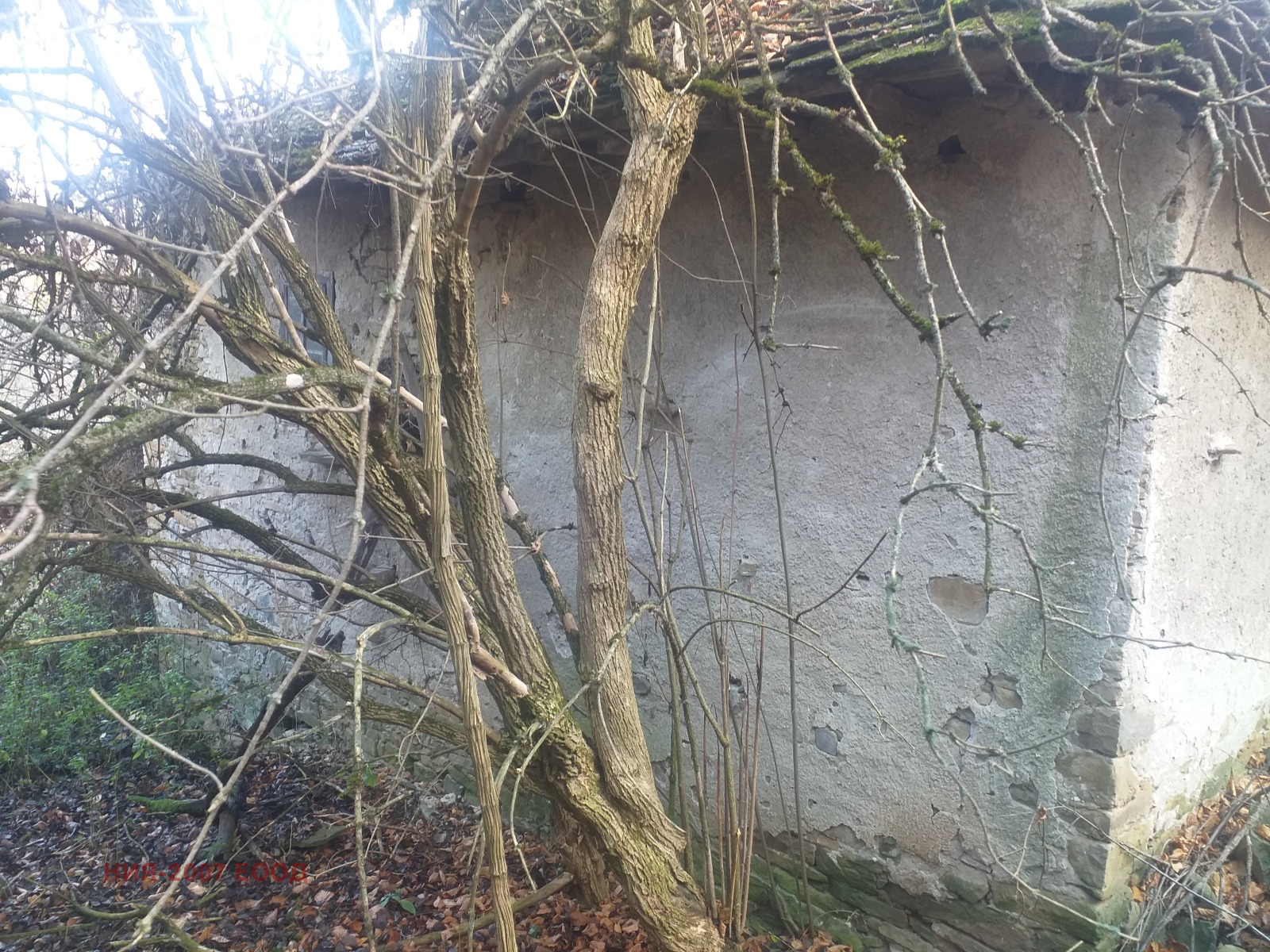 ������� ���� | Imot.bg � ����������� 4