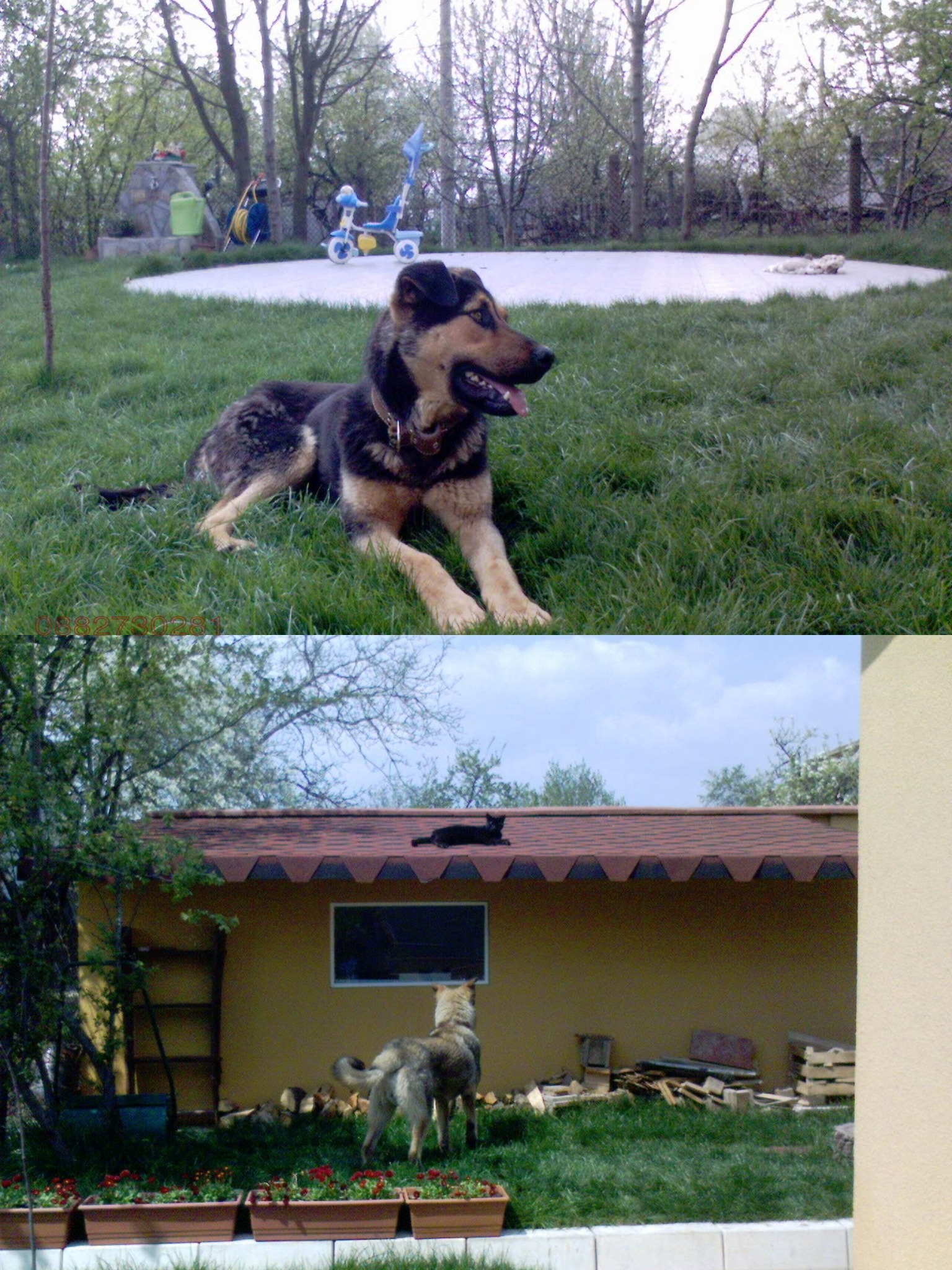 ������� ���� | Imot.bg � ����������� 17