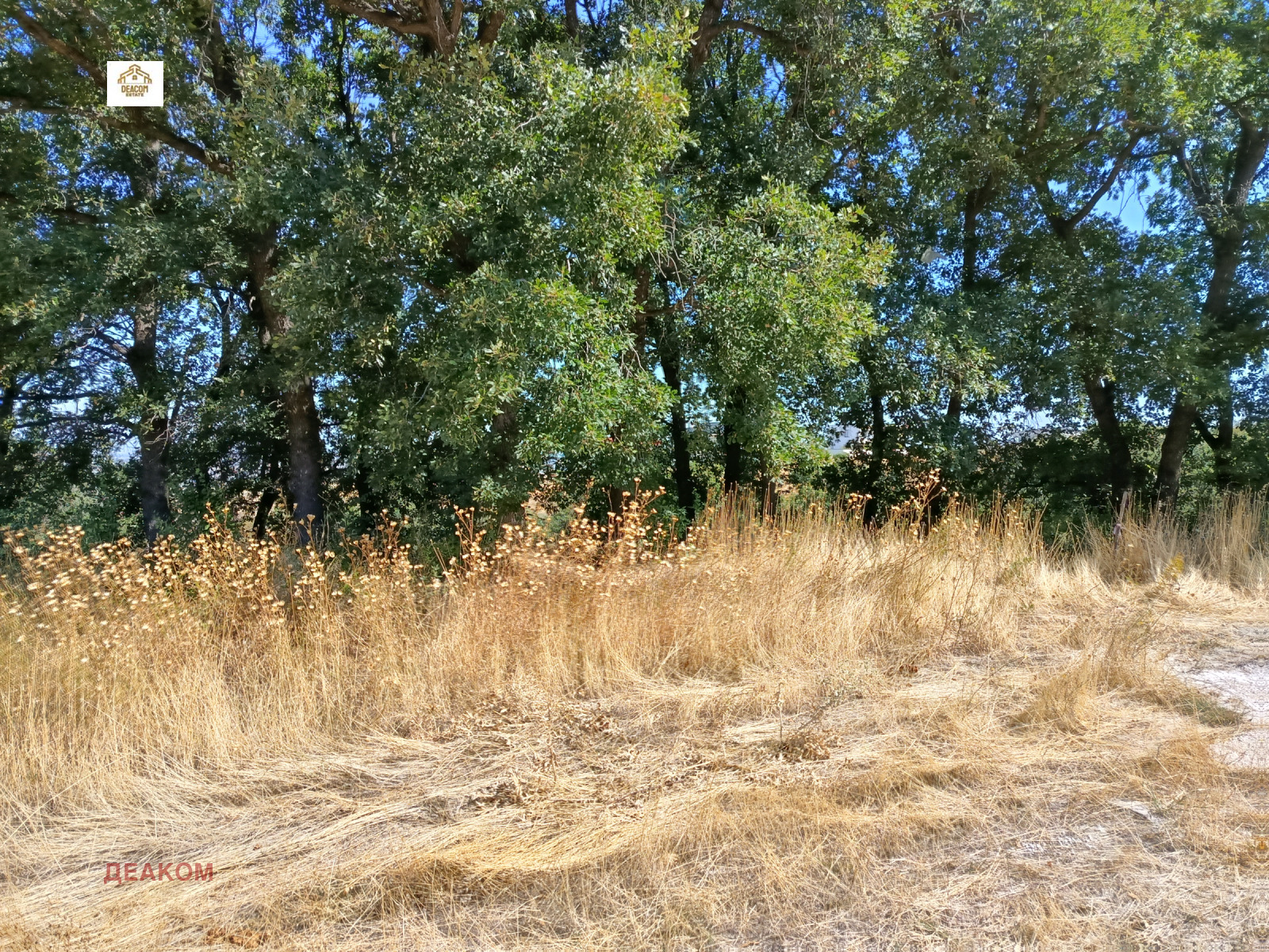 ������� ������ | Imot.bg � ����������� 5