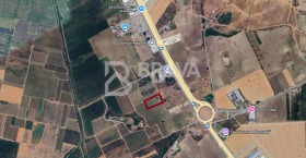 ����� ������� ������,���� �������, ������������� ����