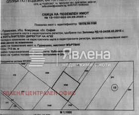 ������ ������� ������