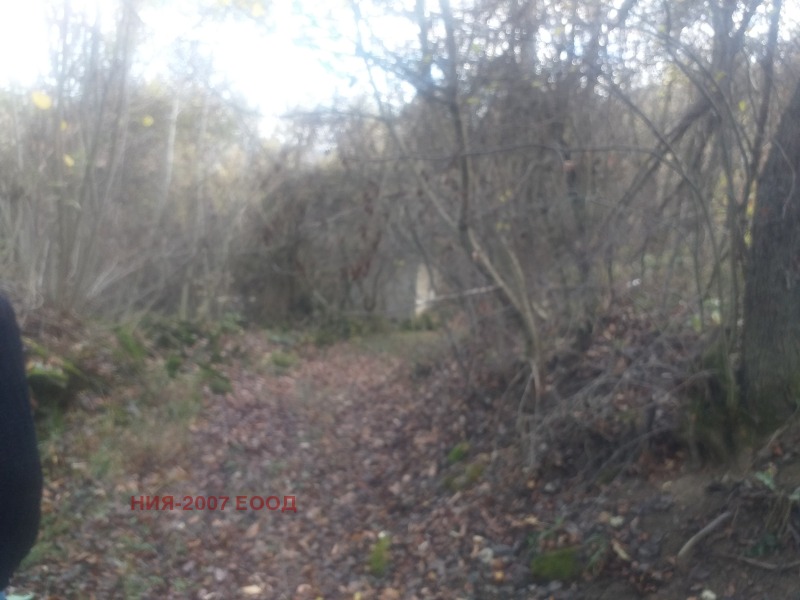 Продава КЪЩА, с. Парчовци, област Габрово, снимка 3 - Къщи - 53103813