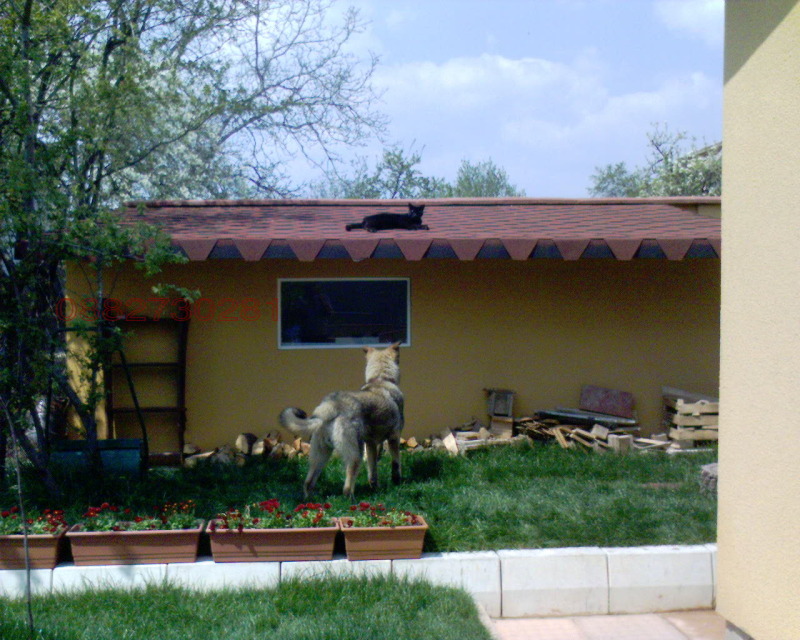 Продава КЪЩА, гр. София, с. Войнеговци, снимка 14 - Къщи - 52528626