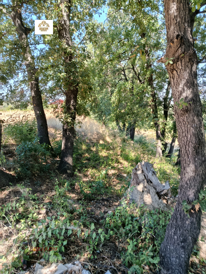 Продаја  Плот регион Пловдив , Белаштица , 1409 м2 | 67043640 - слика [2]