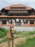Продава ХОТЕЛ, област Кюстендил, гр. Сапарева баня • 680000 € • 74908735 — Holmes.bg