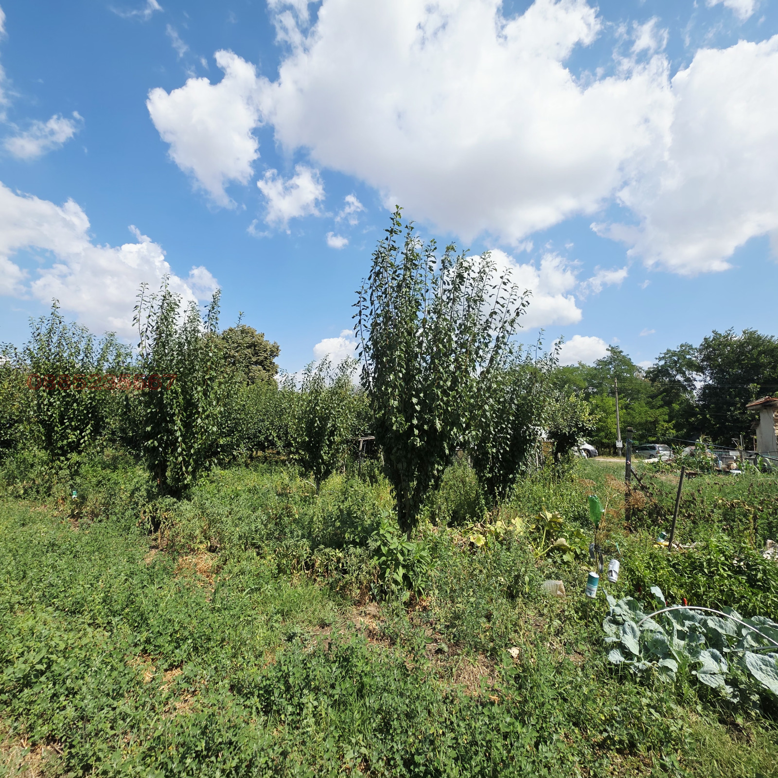 ������� ������ | Imot.bg � ����������� 10