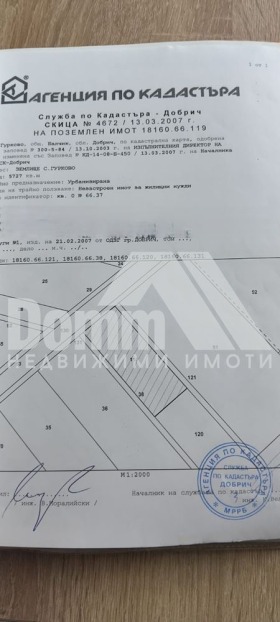 ����� ������� ������,�. ��������, ������ ������