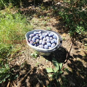 ������� ������ | Imot.bg � ����� ������ 13