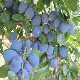 ������� ������ | Imot.bg � ����� ������ 5