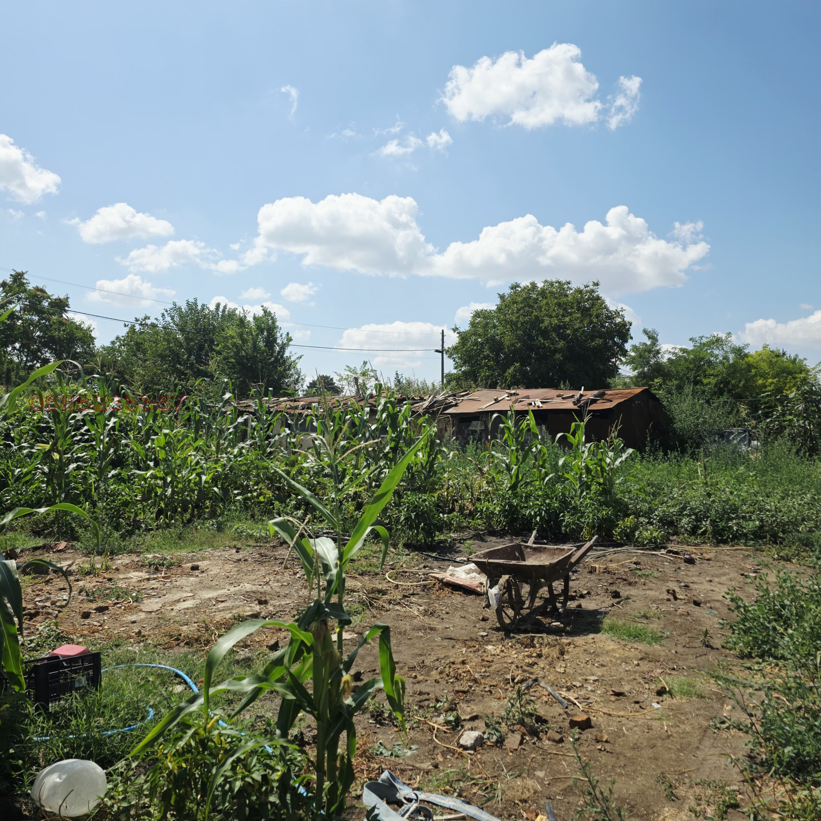 Продава ПАРЦЕЛ, с. Сноп, област Добрич, снимка 9 - Парцели - 56403033