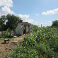 Продава ПАРЦЕЛ, с. Сноп, област Добрич, снимка 2