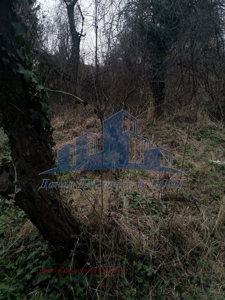 ������� ���� | Imot.bg � ����������� 7