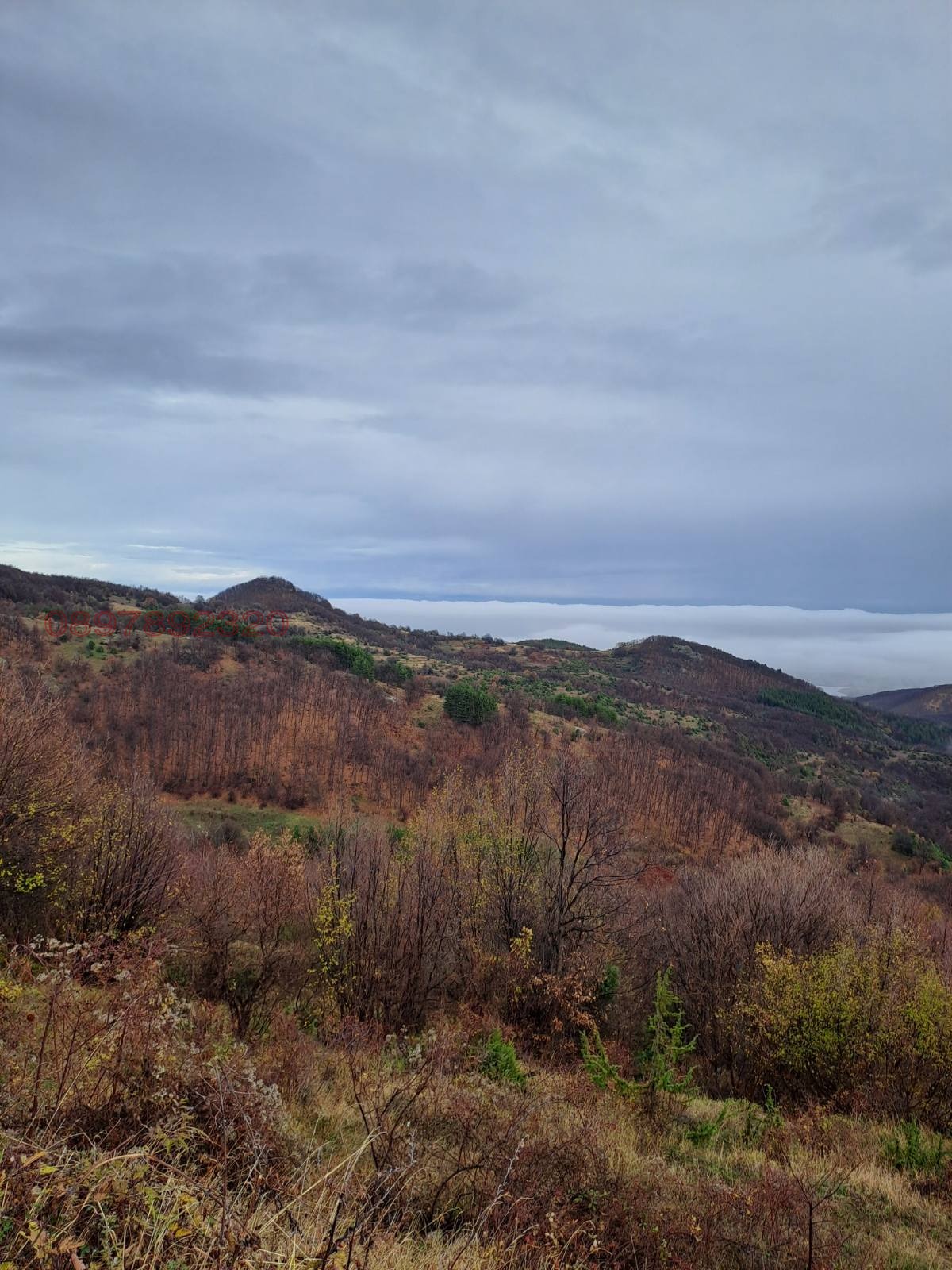 ������� ���� | Imot.bg � ����������� 3