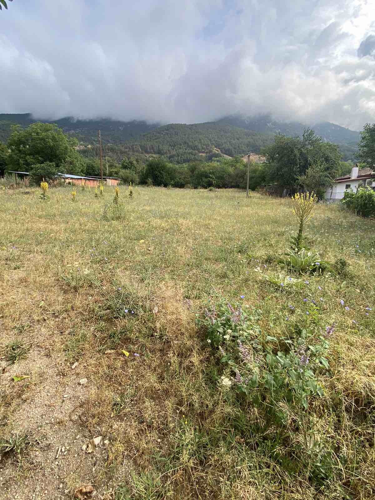 Продава ПАРЦЕЛ, гр. Карлово, област Пловдив, снимка 2 - Парцели - 46458772