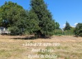 Продава ПАРЦЕЛ, област Варна, гр. Бяла • 84500 € • 23441749 — Holmes.bg