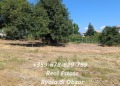Продава ПАРЦЕЛ, област Варна, гр. Бяла • 84500 € • 23441749 — Holmes.bg