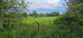 Продава ПАРЦЕЛ, с. Кръстевич, област Пловдив, снимка 4