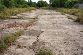 ������ ������� ������