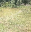 Продава ПАРЦЕЛ, област Пловдив, с. Труд • 269900 € / 527878.52 лв. • 20667318 1