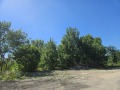 Продава  Парцел област Бургас , гр. Царево , 18023 кв.м | 50346655 - изображение [4]