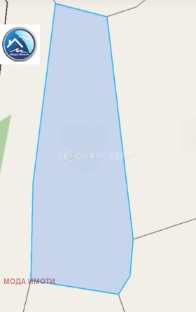 ����� ������� ������,��. ����������, ������ ������