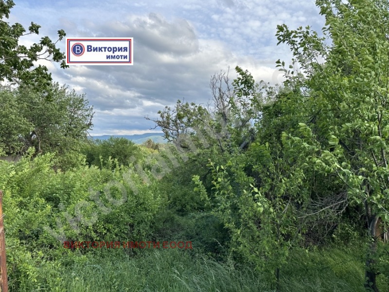 Продава  Парцел област Велико Търново , с. Пчелище , 1020 кв.м | 20198788 - изображение [2]
