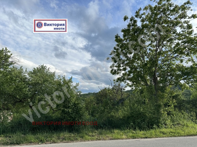 Продава  Парцел област Велико Търново , с. Пчелище , 1020 кв.м | 20198788