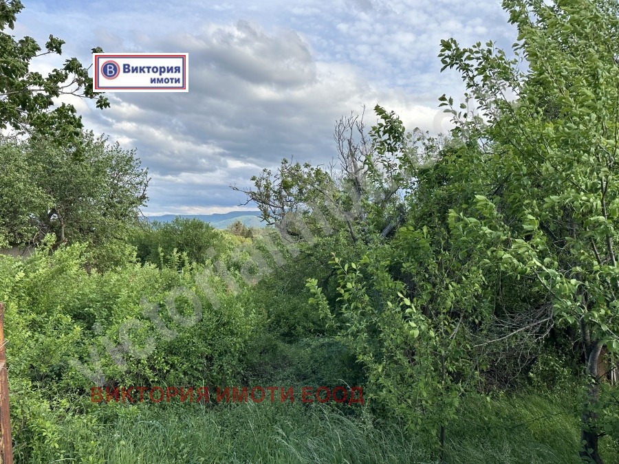 Продава ПАРЦЕЛ, с. Пчелище, област Велико Търново, снимка 2 - Парцели - 22146379