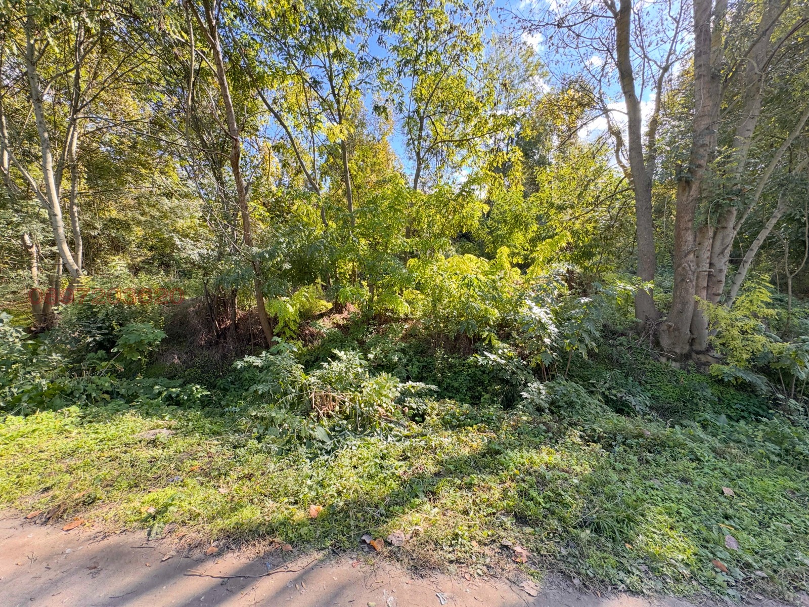 Продава ПАРЦЕЛ, с. Зафирово, област Силистра, снимка 2 - Парцели - 52783608