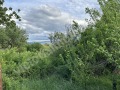 Продава ПАРЦЕЛ, с. Пчелище, област Велико Търново, снимка 2