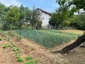 Продава ПАРЦЕЛ, гр. Враца, Дъбника, снимка 3