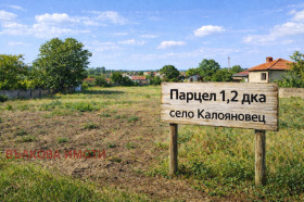 ������ ������� ������