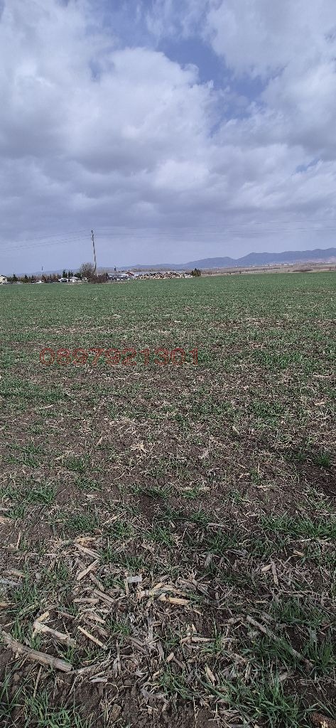 Продава ПАРЦЕЛ, гр. София, с. Долни Богров, снимка 10 - Парцели - 53008154