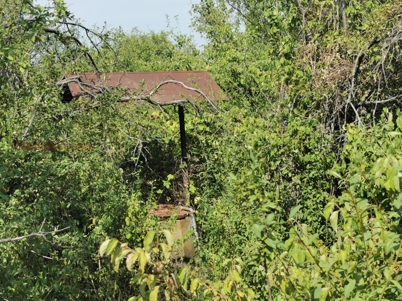 Продава ЗЕМЕДЕЛСКА ЗЕМЯ | Imot.bg — изображение 3