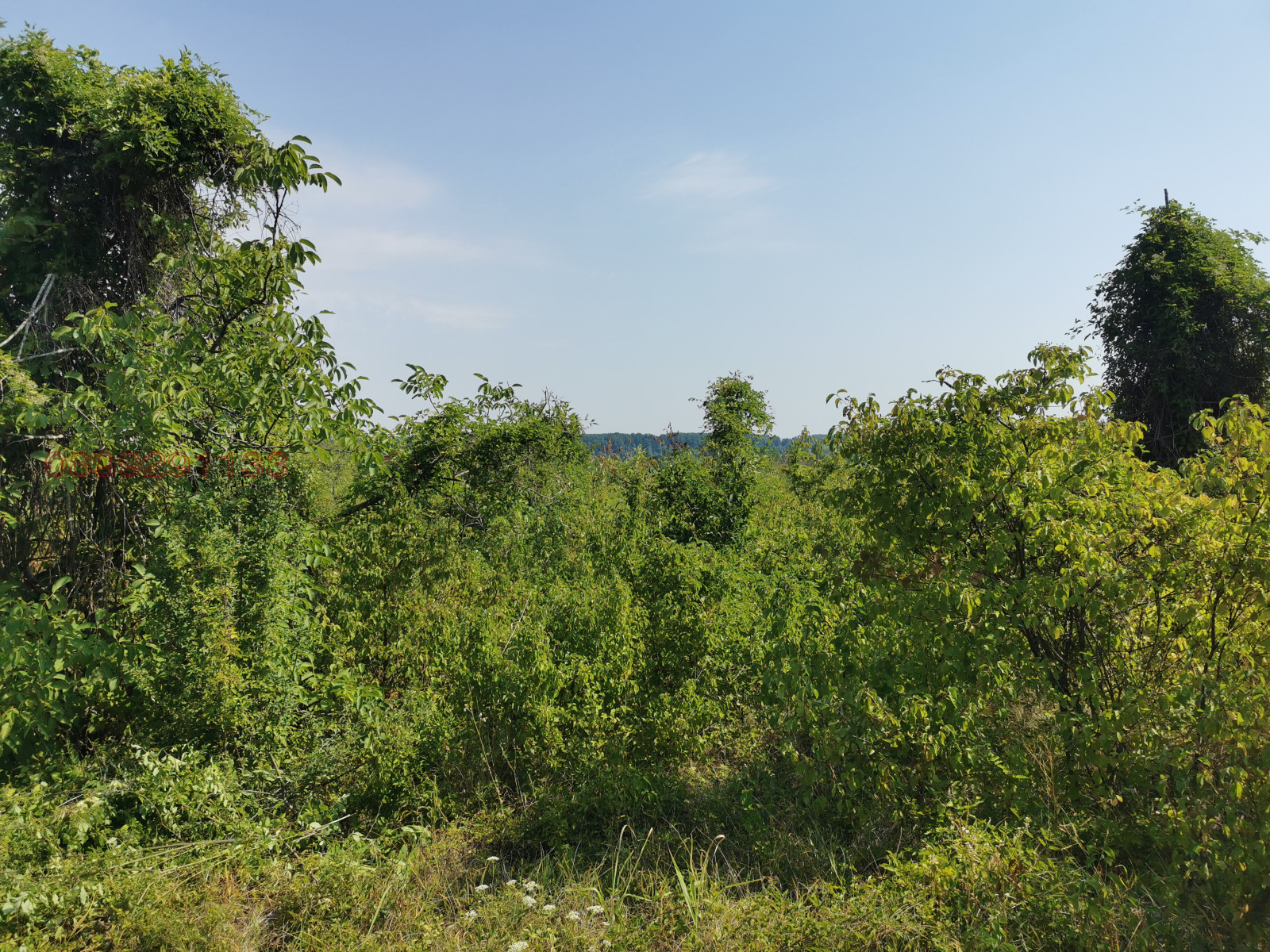 Продава ЗЕМЕДЕЛСКА ЗЕМЯ | Imot.bg — изображение 5