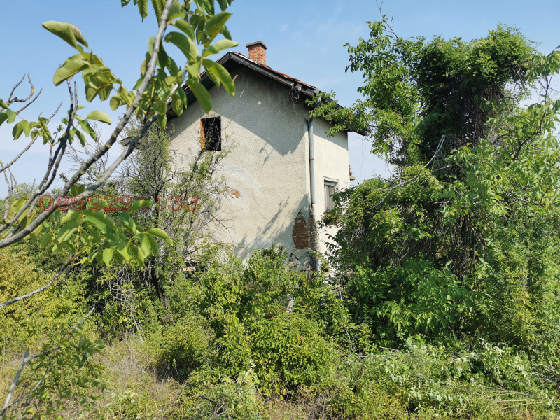 Продава ЗЕМЕДЕЛСКА ЗЕМЯ, гр. Лом, област Монтана, снимка 4 - Земеделска земя - 52780202