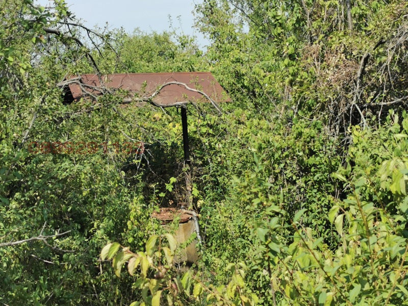 Продава ЗЕМЕДЕЛСКА ЗЕМЯ, гр. Лом, област Монтана, снимка 3 - Земеделска земя - 52780202