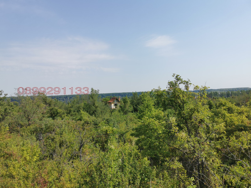 Продава ЗЕМЕДЕЛСКА ЗЕМЯ, гр. Лом, област Монтана, снимка 7 - Земеделска земя - 52780202