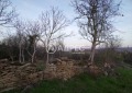 Продава ПАРЦЕЛ, област Габрово, с. Туркинча • 23500 € / 45962.00 лв. • 33603752 3