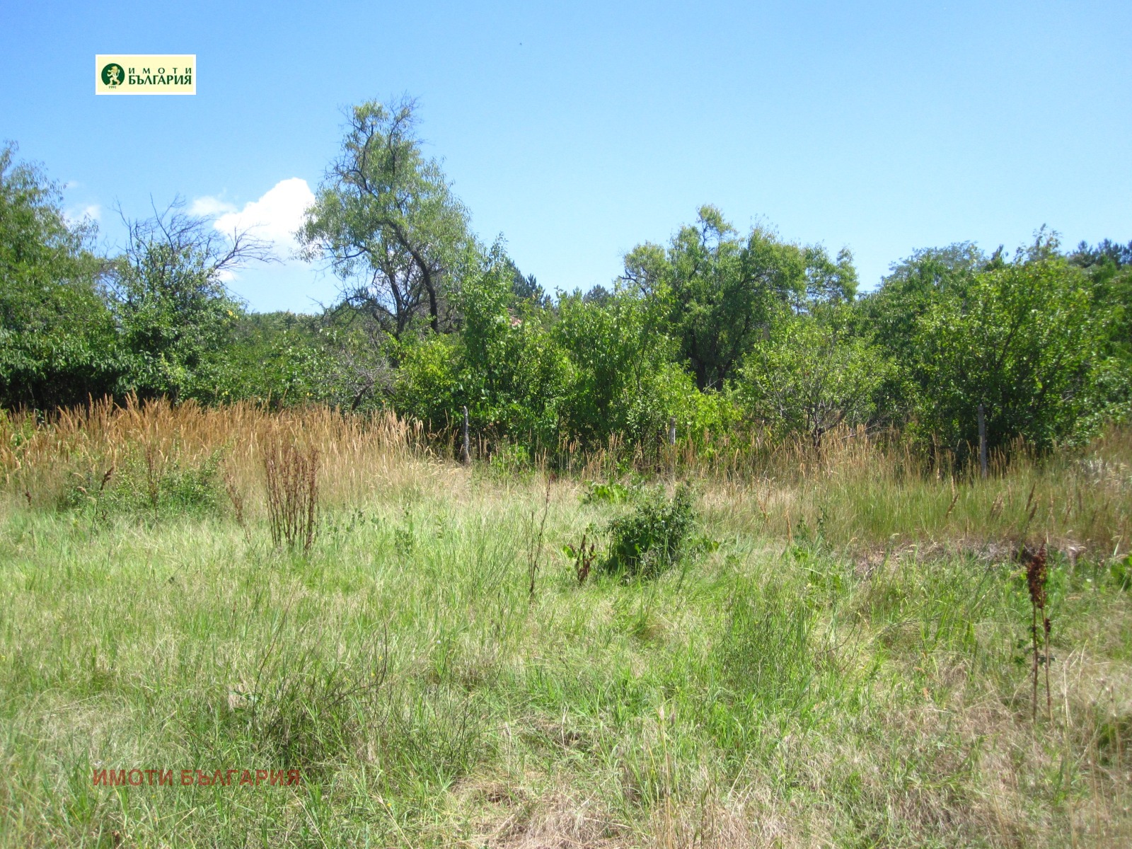 ������� ������ | Imot.bg � ����������� 1