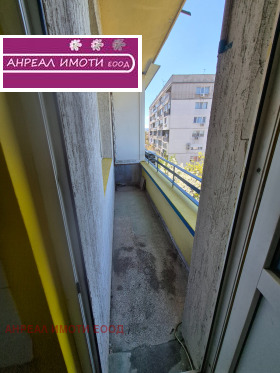 ����� ������� 2-�����,���� �����, ������ ����>