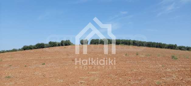 ������� ������ | Imot.bg � ����������� 12
