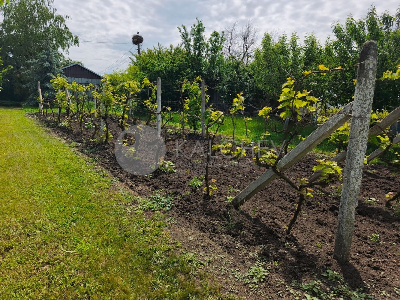 Продава КЪЩА | Imot.bg — изображение 5