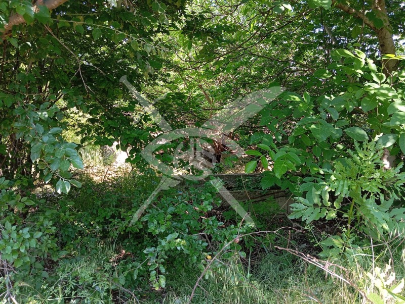 For Sale  Plot Sofia , Novi Iskar , 1200 sq.m | 77096913 - image [3]