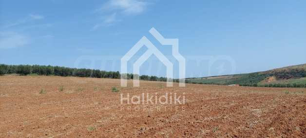 Продава ПАРЦЕЛ, Извън страната, област Извън страната, снимка 8 - Парцели - 54846447